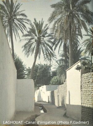 Laghouat Canal irrrigation.jpg