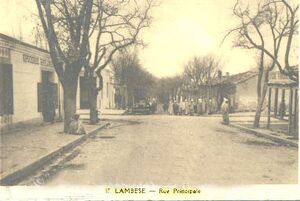 Lambèse rue principale.jpg