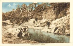 Bou Saada Oued.jpg