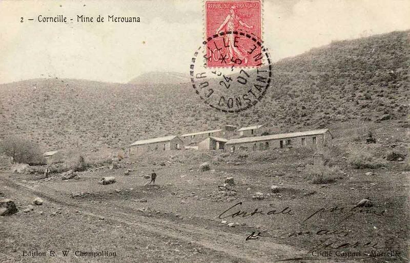 Fichier:Corneille mine.jpg