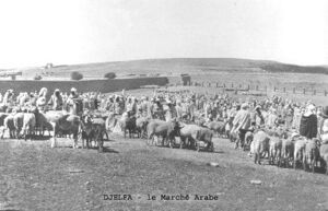 Djelfa le marché arabe.jpg