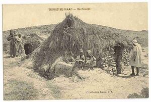 Teniet el Haad Gourbi.jpg