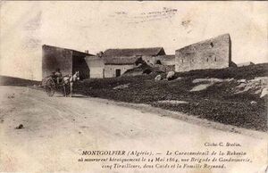 Montgolfier redoute.jpg