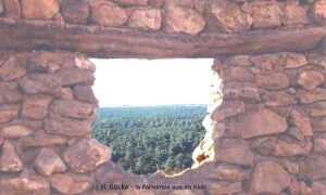 El-Goléa Vue sur la palmeraie.jpg