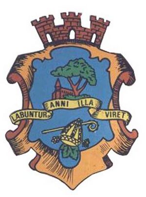 Blason Souk-Ahras.jpg