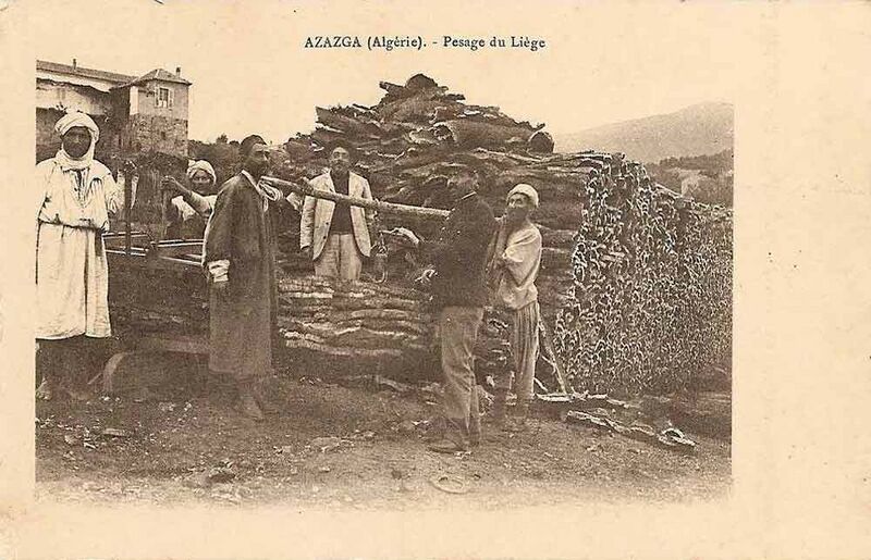 Fichier:Azazga liege.jpg