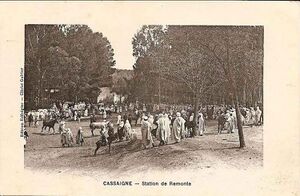 Cassaigne remonte.jpg