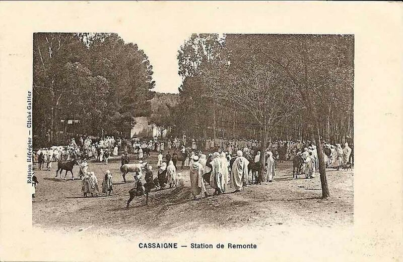 Fichier:Cassaigne remonte.jpg