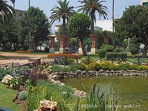 Fédala Jardin public.jpg