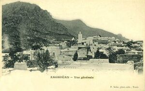 Zaghouan Vue.jpg
