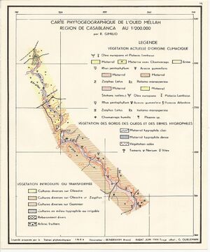 Carte phytogéo 1-200 000e 01.jpg