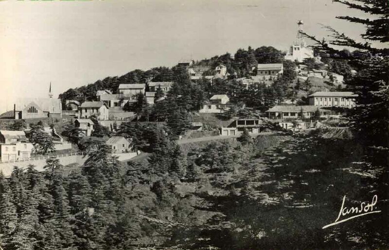 Fichier:Chrea gene1.jpg